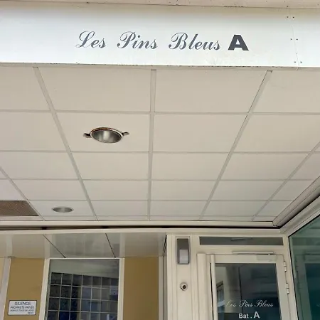 Les Pins Bleus 昂蒂布